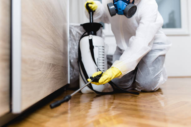 Best Residential Pest Control  in Warsaw, KY