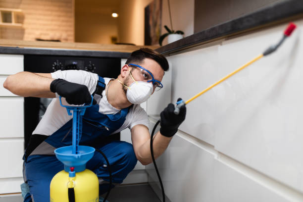 Best Wasp Removal Services  in Warsaw, KY