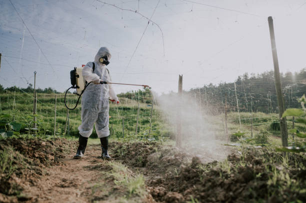 Best Best Pest Control Companies  in Warsaw, KY