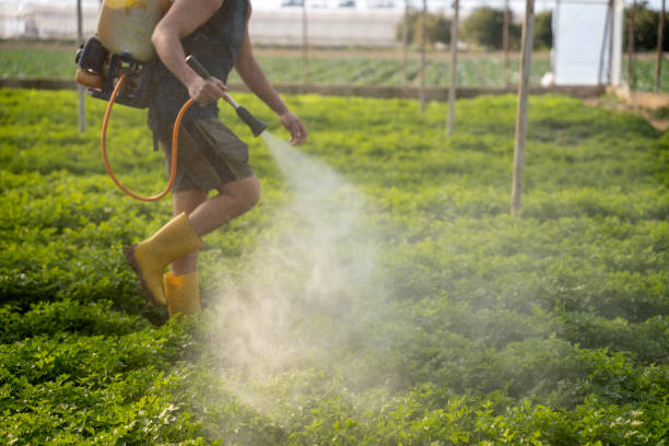 Best Affordable Pest Control Services  in Warsaw, KY