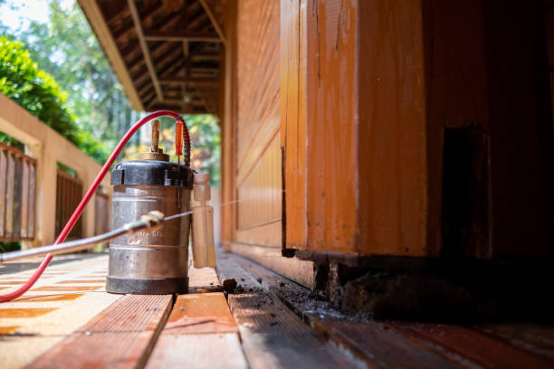Best Mosquito Control Services  in Warsaw, KY