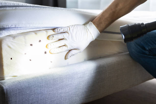Best Residential Pest Control  in Warsaw, KY