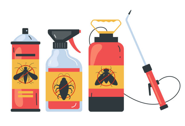 Best Termite Control Services  in Warsaw, KY