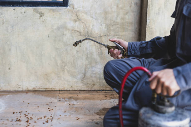 Best Pest Removal Services  in Warsaw, KY