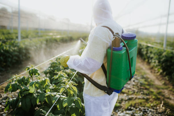Best Pest Control for Restaurants  in Warsaw, KY